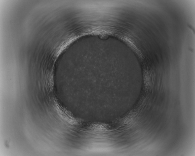 X0000100350488200806201545