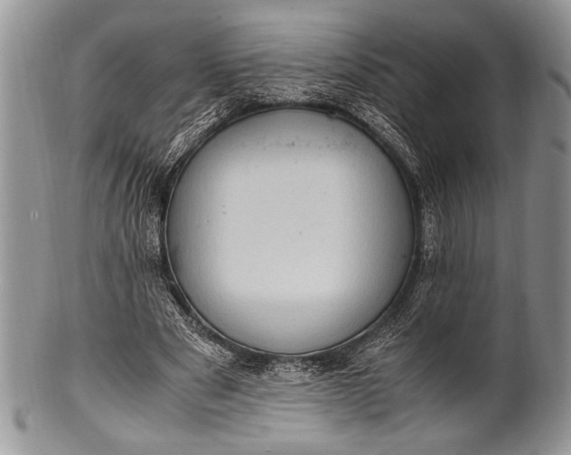 X0000100350489200806201545