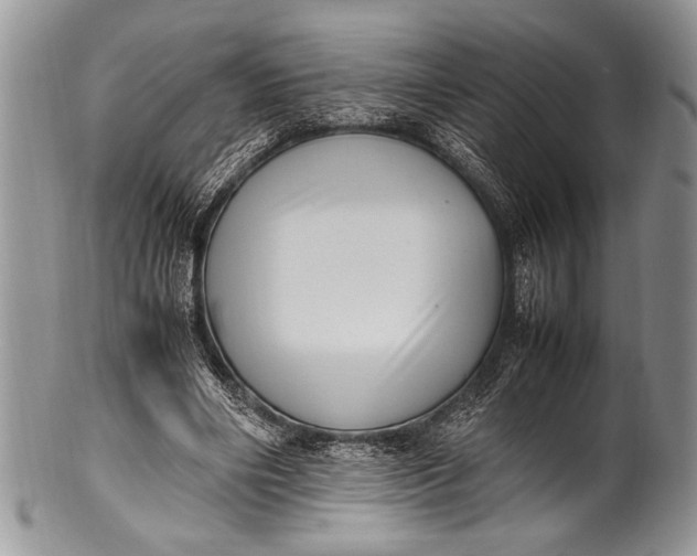 X0000100350490200806201545