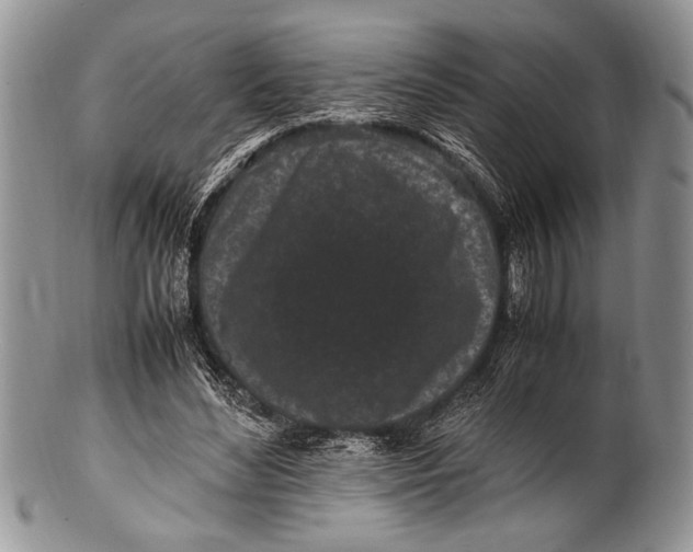 X0000100350492200806201545