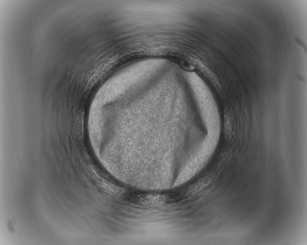X0000100350493200806201545