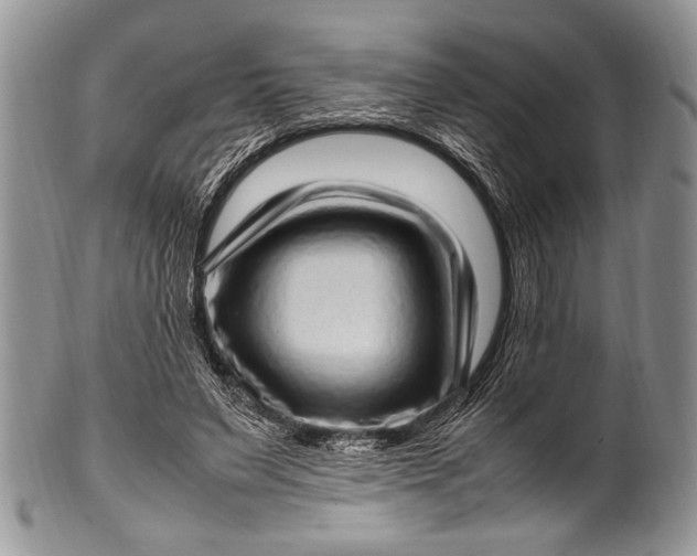 X0000100350495200806201545