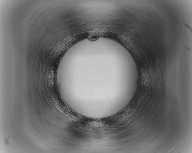X0000100350498200806201545