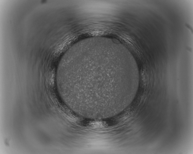 X0000100350499200806201545
