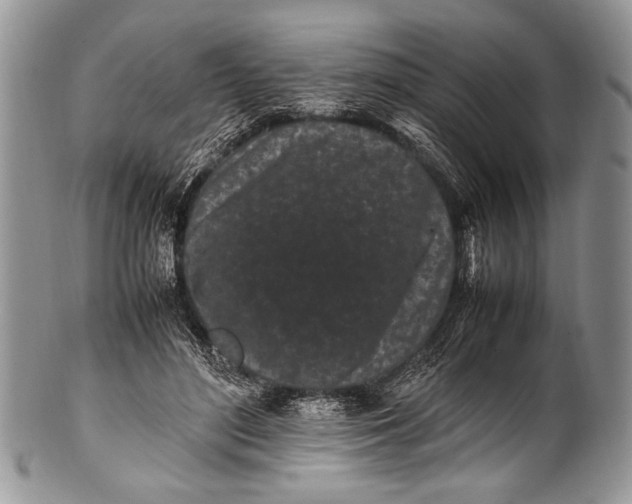 X0000100350500200806201545
