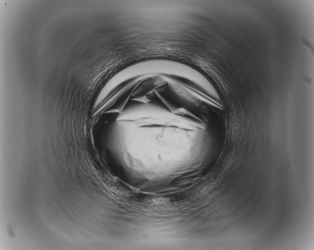X0000100350501200806201545