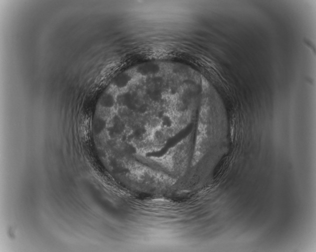 X0000100350503200806201544