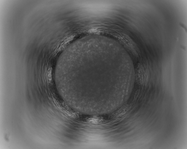 X0000100350504200806201544