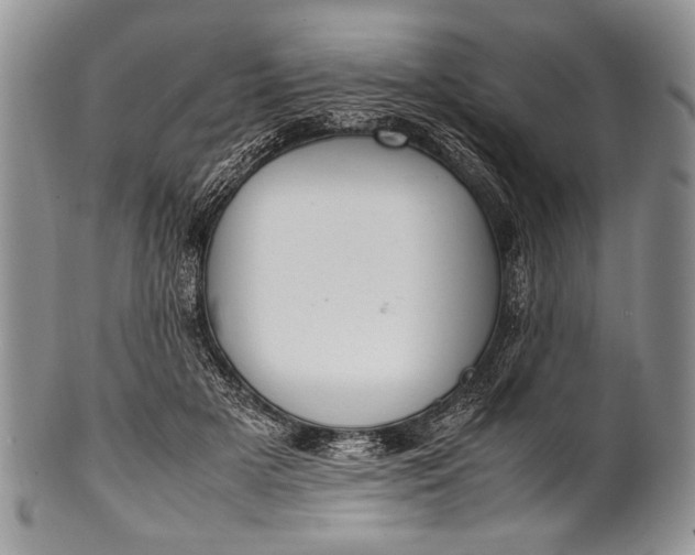X0000100350505200806201544