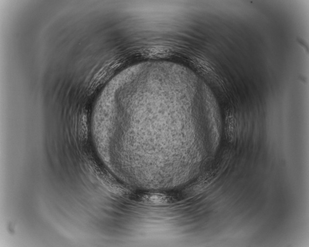 X0000100350506200806201544