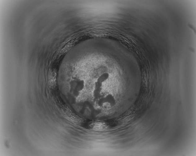 X0000100350507200806201544