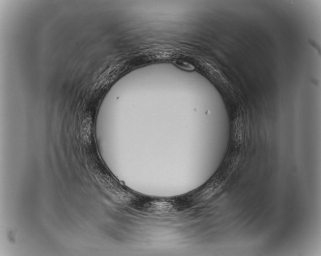 X0000100350509200806201544