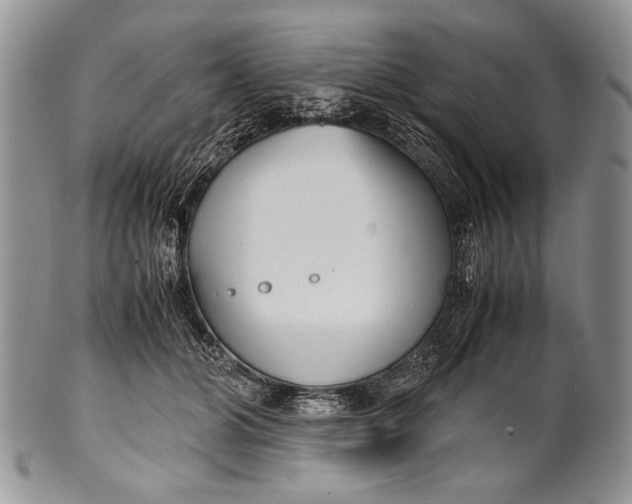 X0000100350510200806201544