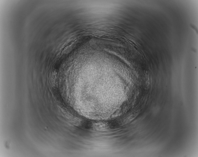 X0000100350511200806201544