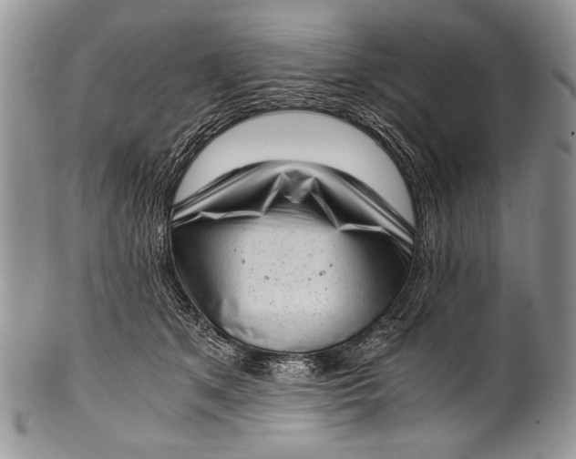 X0000100350513200806201544