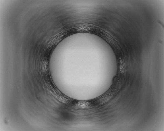 X0000100350514200806201544