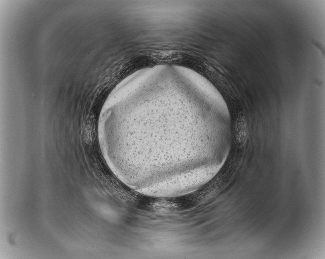 X0000100350515200806201544