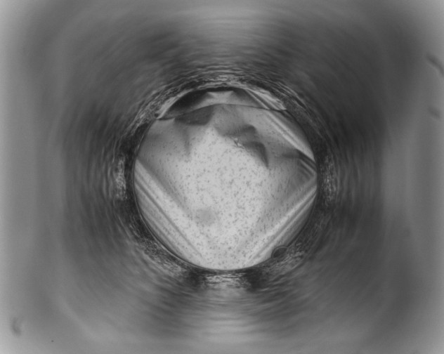 X0000100350516200806201544