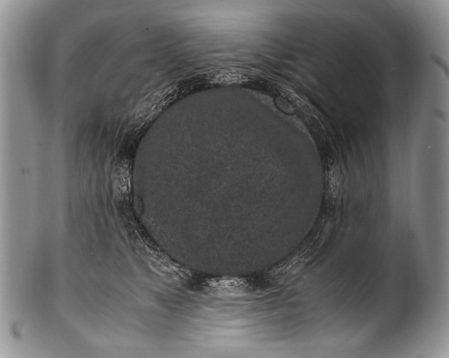 X0000100350517200806201544