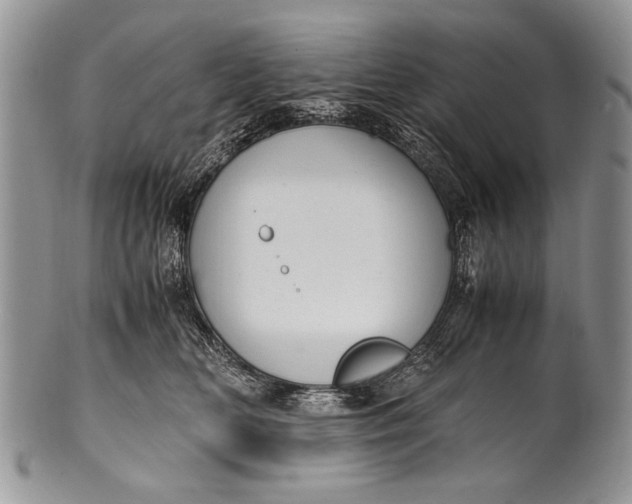 X0000100350518200806201544