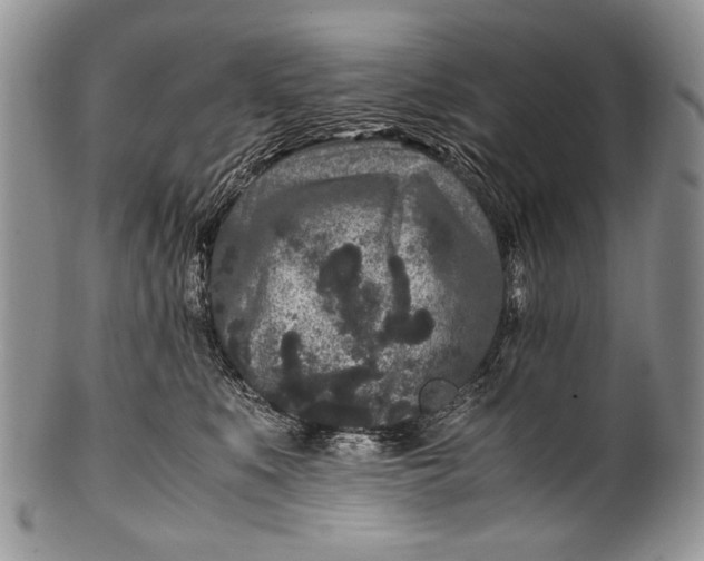 X0000100350519200806201544