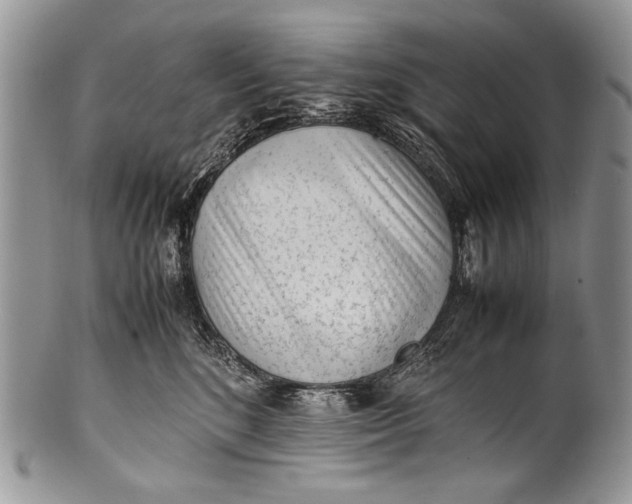 X0000100350520200806201544