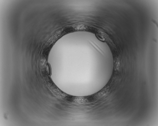 X0000100350521200806201544