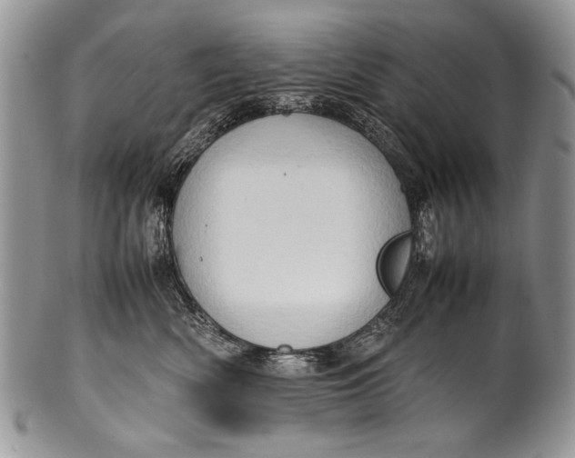 X0000100350522200806201544