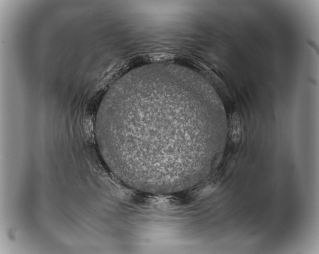 X0000100350523200806201544