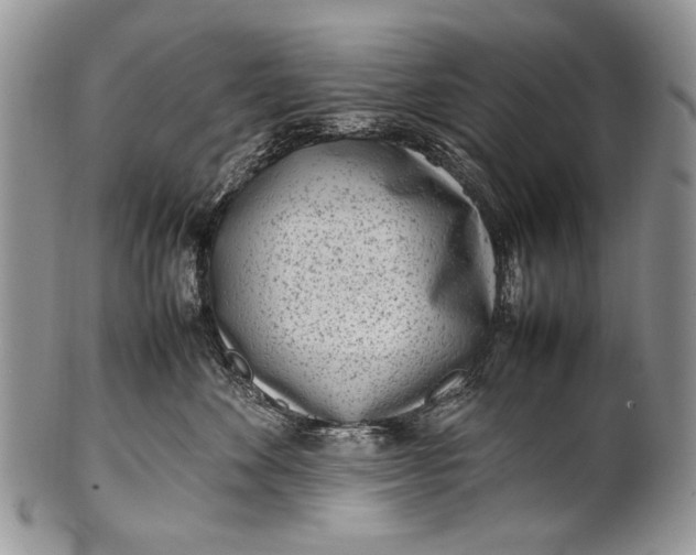 X0000100350524200806201544