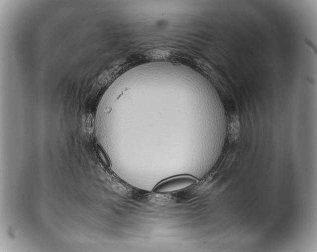 X0000100350525200806201544