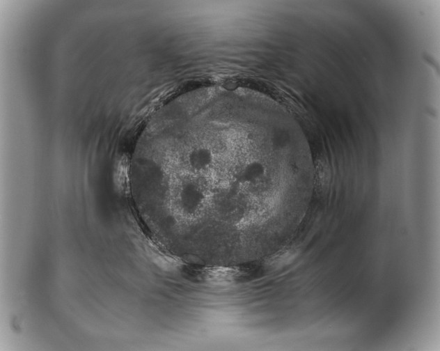 X0000100350527200806201544