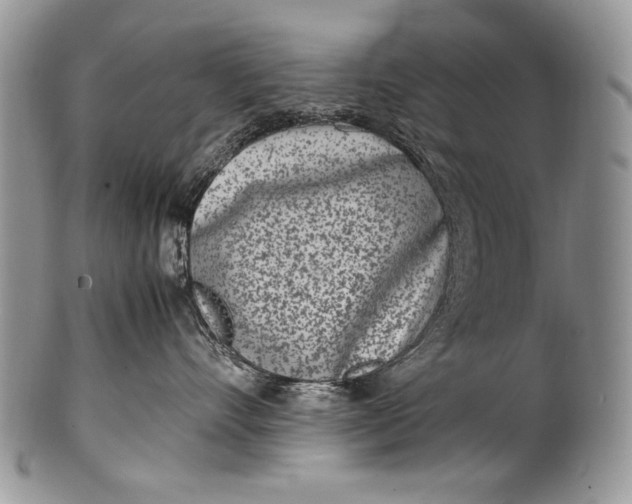 X0000100350528200806201544