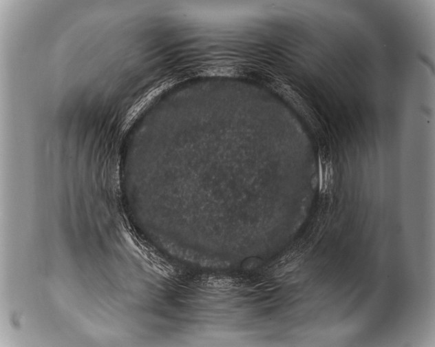 X0000100350531200806201543