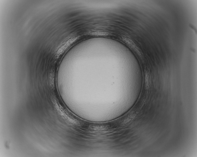 X0000100350533200806201543