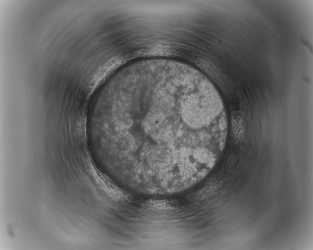 X0000100350534200806201543