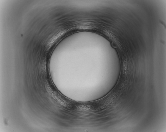 X0000100350535200806201543