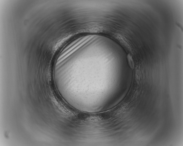 X0000100350536200806201543