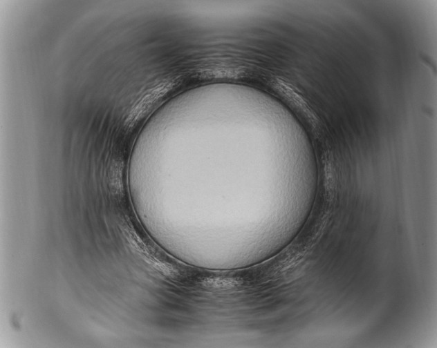 X0000100350537200806201543