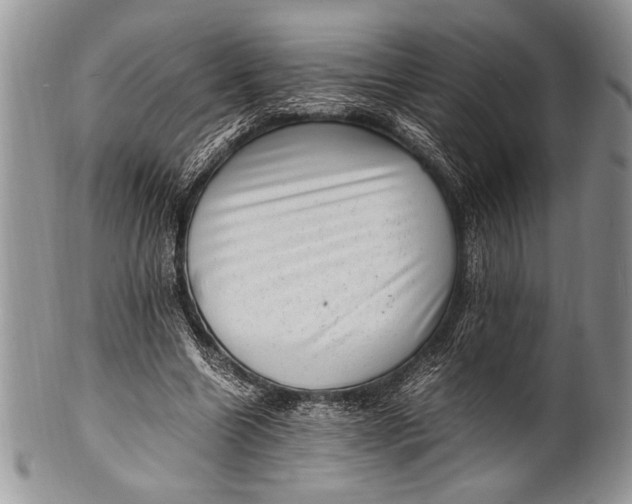 X0000100350538200806201543