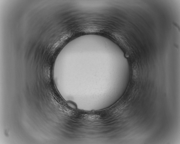 X0000100350539200806201543