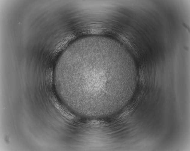 X0000100350542200806201543