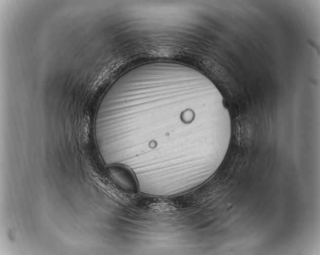 X0000100350544200806201543