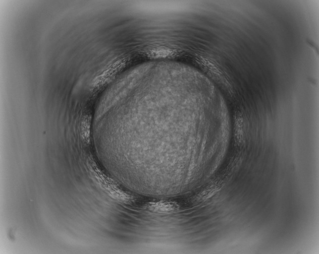 X0000100350545200806201543