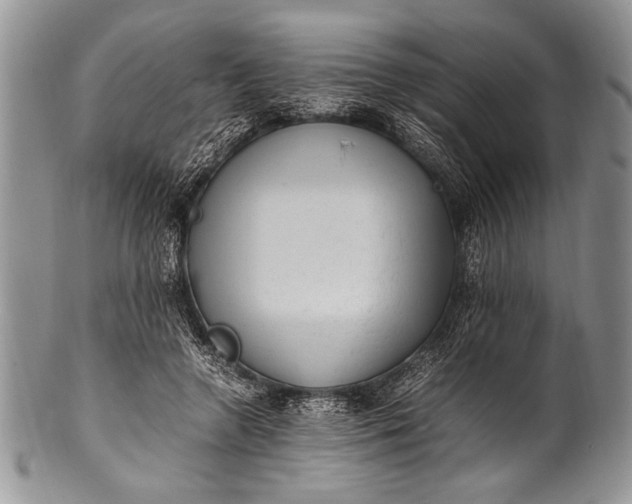 X0000100350546200806201544