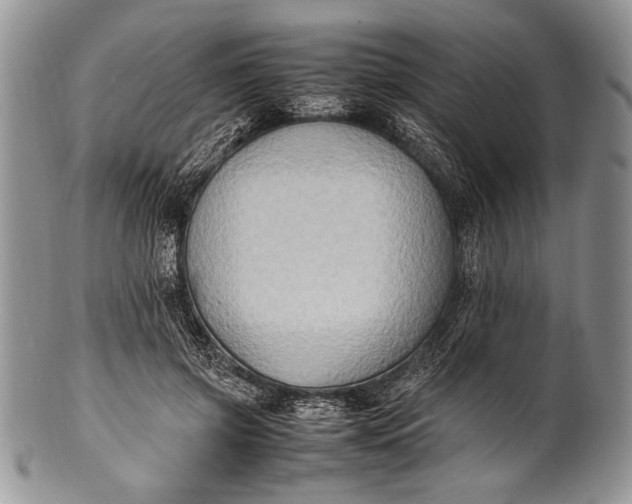 X0000100350549200806201544