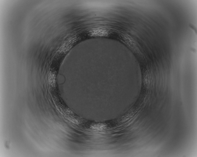 X0000100350551200806201544