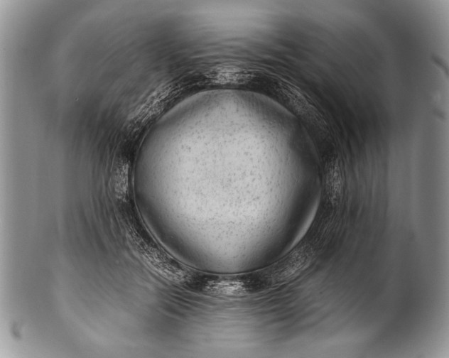 X0000100350554200806201544