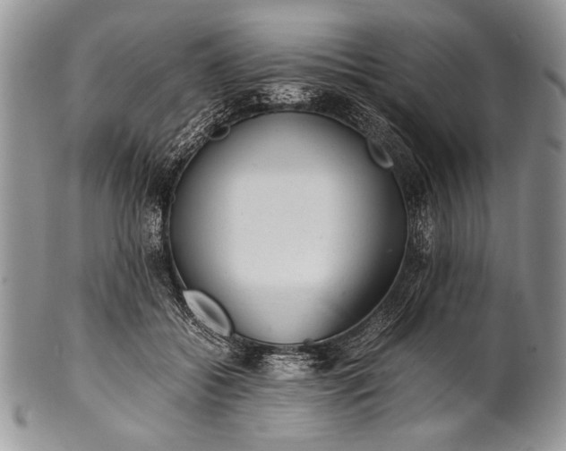 X0000100350556200806201544