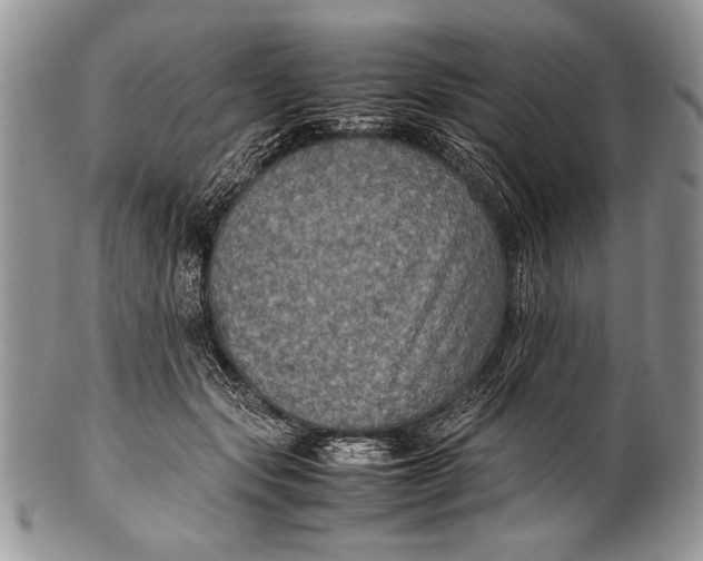 X0000100350557200806201544